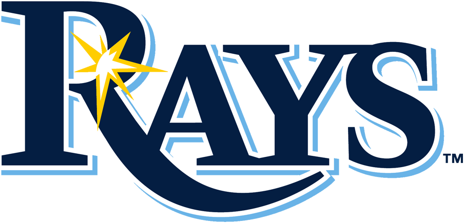 Tampa Bay Rays 2019-Pres Primary Logo fabric transfer